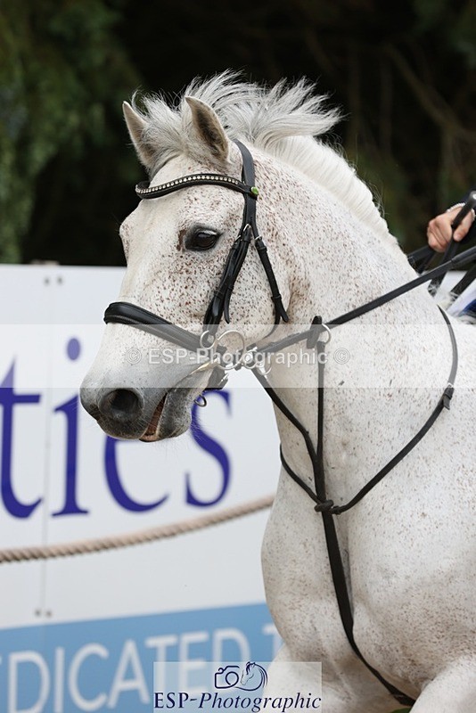 230618-091006-09496 - Cls 19 Pony Intro 1m