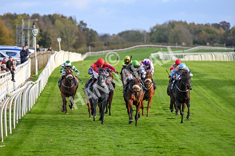 281025-Race 6-The Good Biscuit-1911 - Race 6