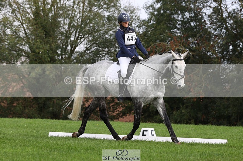 231019-143053-04003 - 445-CRUISING.BORO-Lucy.Knight-DR