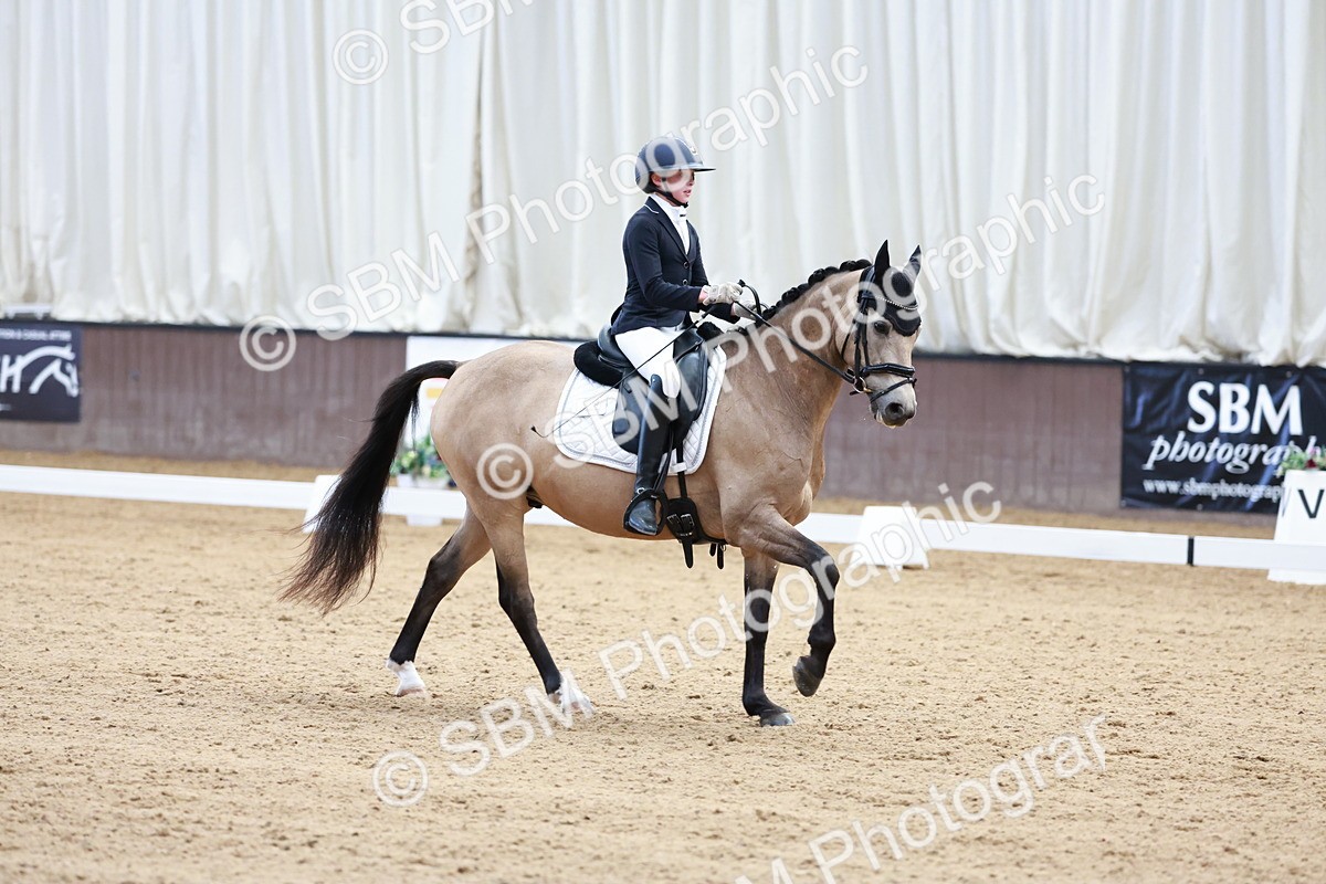 SBM_017237 - Class15 - FEI Pony