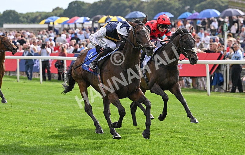 190826-189 Small Fry - Race 5 16.10pm Sky Bet Stayers Handicap