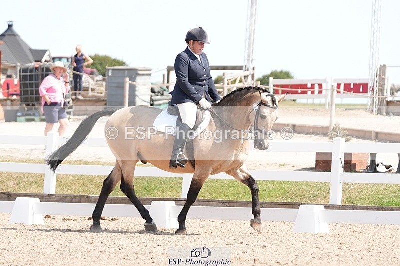 250817-130741-09237 - 082-Sarah.DavisWinston.Classic.Gold