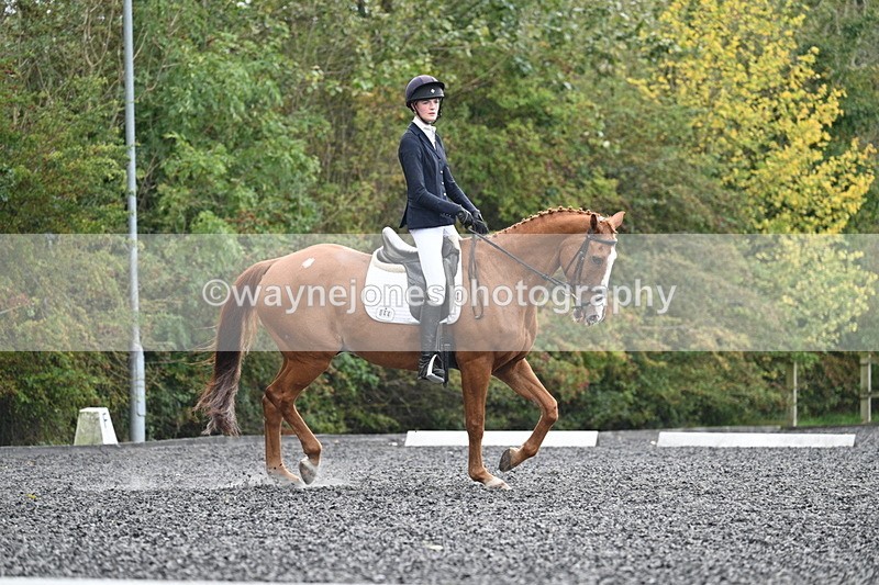 WJ7_6742 - Time 14:49 to 15:14