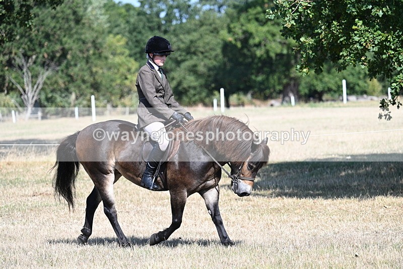 WJ7_3966 - Class 9 Mountain & Moorland Ridden