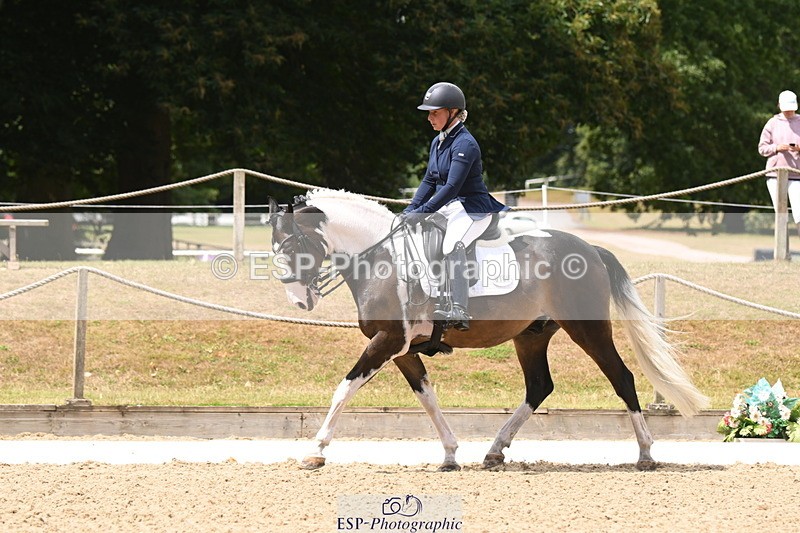 250720A-123616-10384 - 164-Dominique.Kinnaird-Perry-Pallas.Vanquish