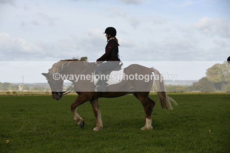 _DSC6118 - Time 11:23 to 12:05