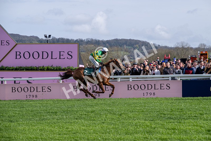 130326-Race 3-Dinoblue-2052 - 13th March
