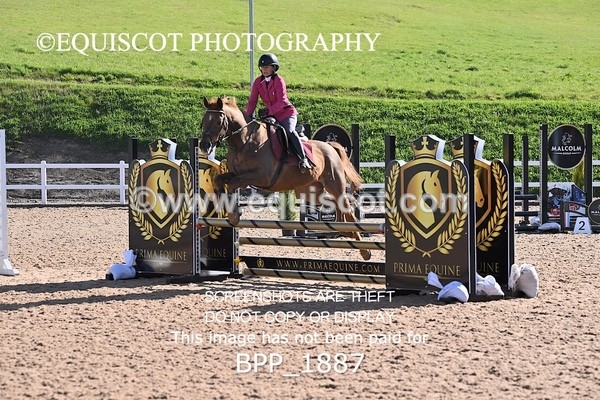 BPP_1887 - CLASS 2 - FRI - KBIS Club Senior 80cms