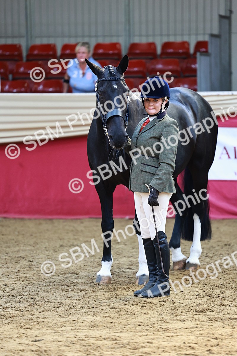 SBM_23155 - Class 903 - Supreme Final - IH Pre Vet
