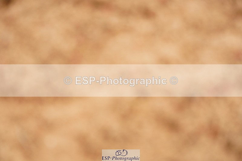 240526A-120800-07968 - Cls 26 Chard Equ 1.05m and 1.10m Grand Prix