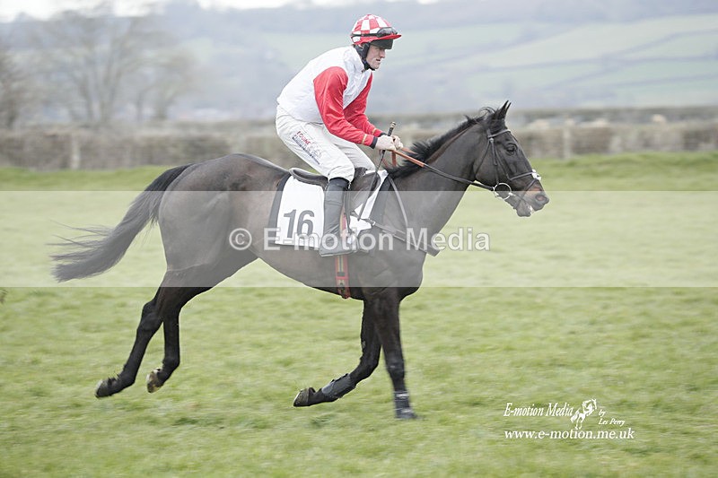 PtP 050323 784 - Blackmore & Sparkford Vale Hunt PtP - Somerset 05/03/23