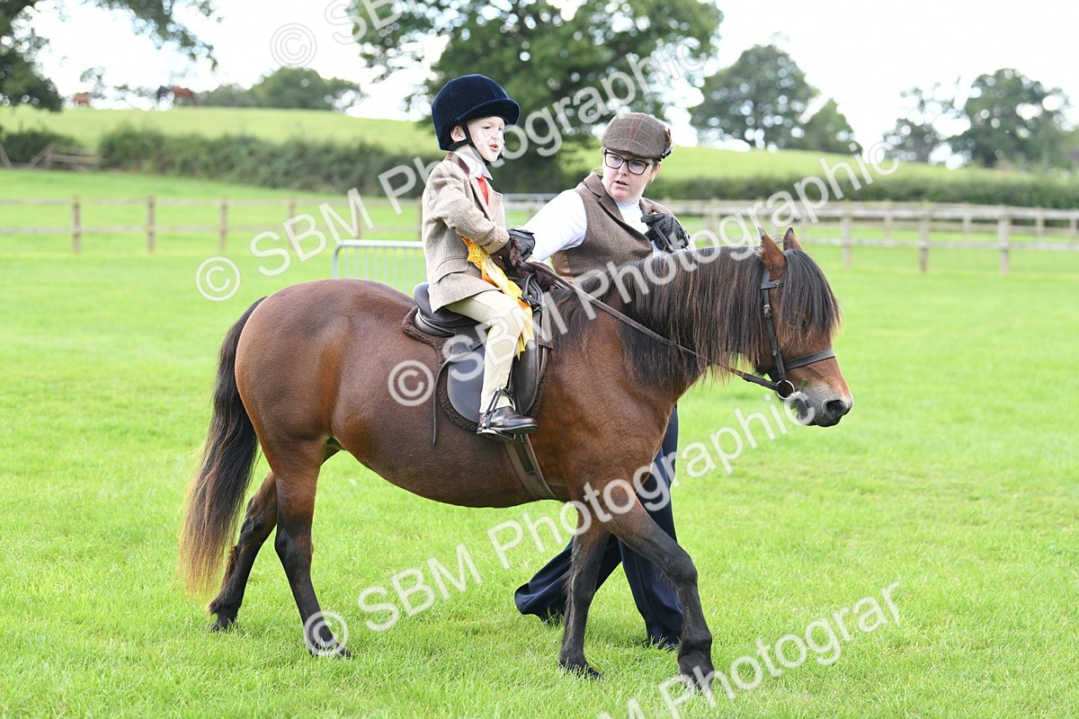 SBM_42723 - S20 - Lead Rein Mountain & Moorland Pony