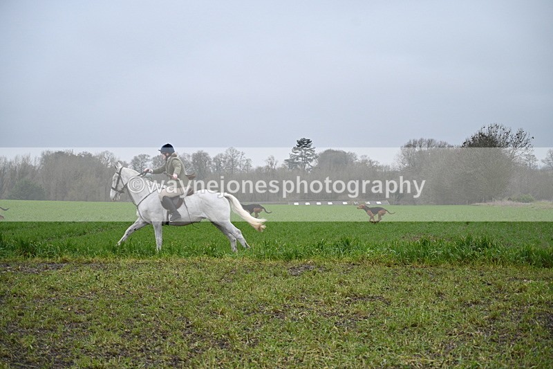 WJ7_9695 - Walk out..