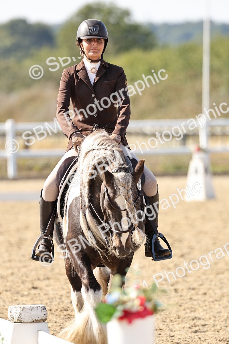 SBM_015277 - Class 9 - Advanced medium 3