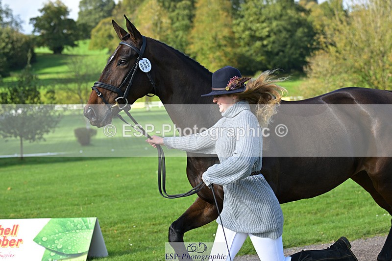 241023-130329-00047 - 055-Ellie.Fredericks-UPPER.CLASS.BRIT