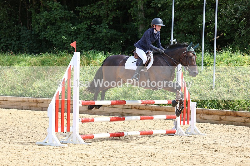 3E7A0310 - Class 9: Senior British Novice/90cm open