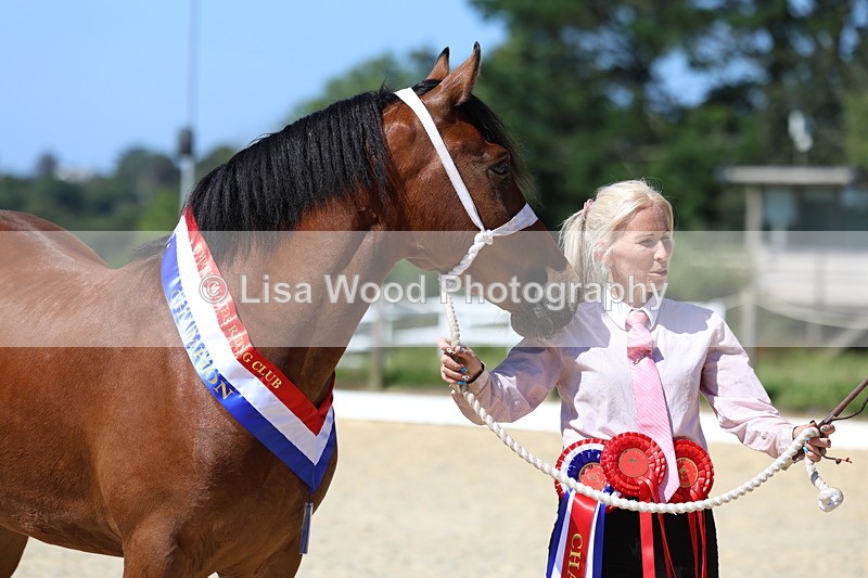 3E7A9948 - In Hand Championship