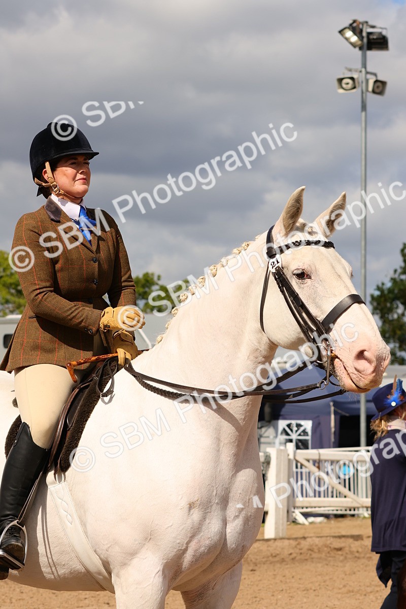 SBM_13553 - Class 212 - Ridden Hunter  - Large