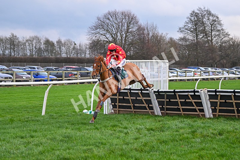 171224-Race 4-Wise Eagle-3315 - Race 4