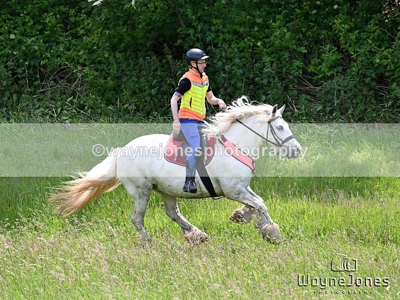 WJ7_8783 - Edited examples