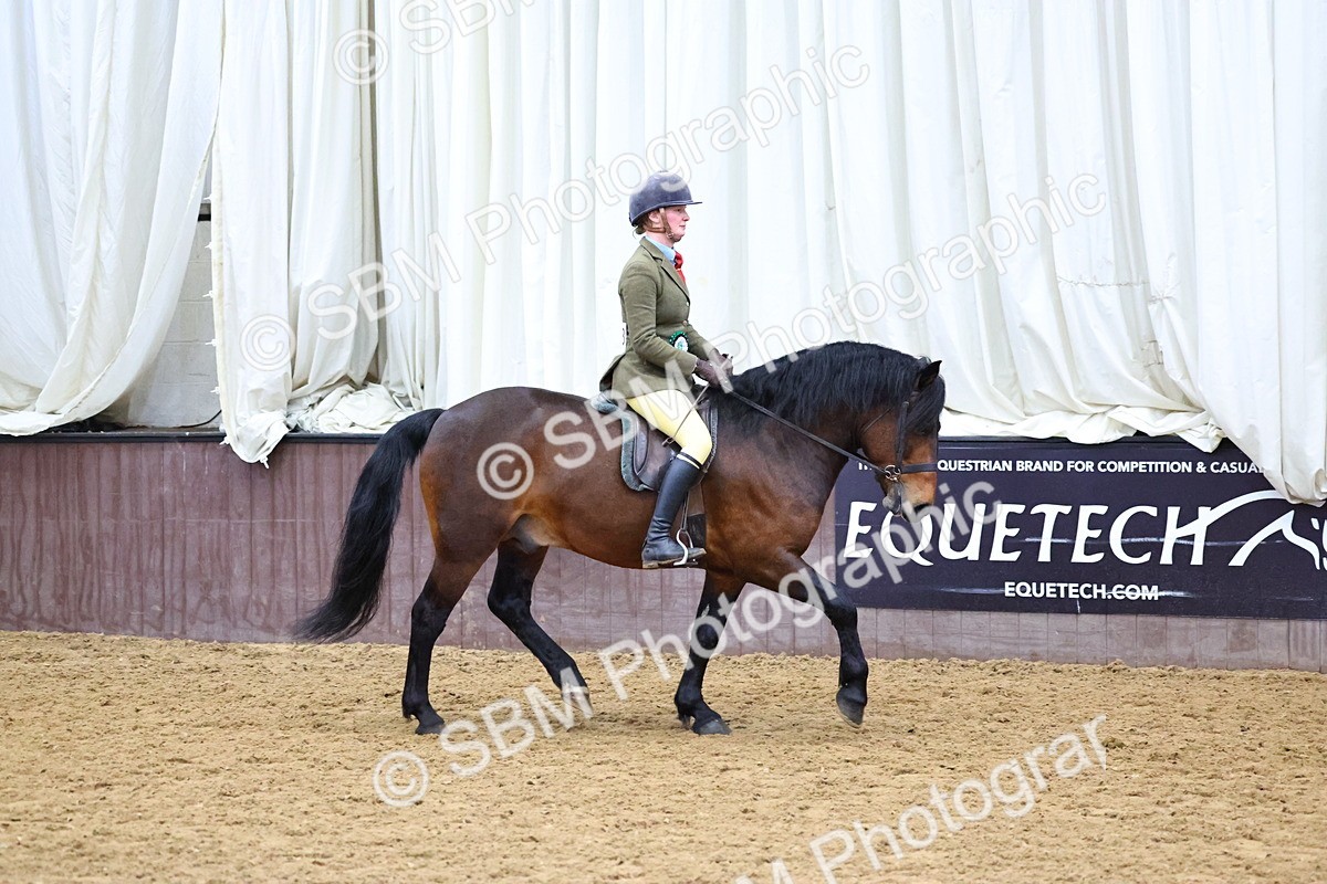 SBM_005132 - Class 41 - Not exceeding 143cms