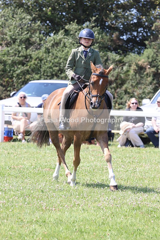 JPP_2771 - Class 21: Working Hunter 60cm
