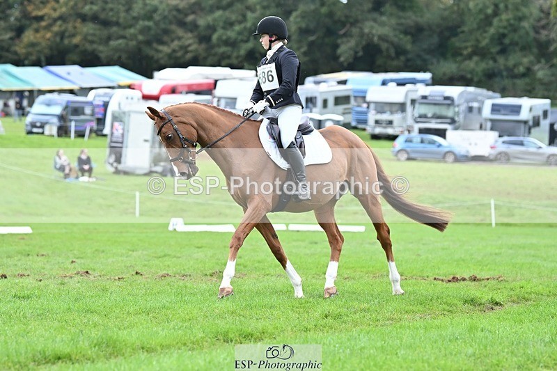 231020-152833-11488 - 686-MOORLAND.MAGIC-Charlotte.Chard-DR