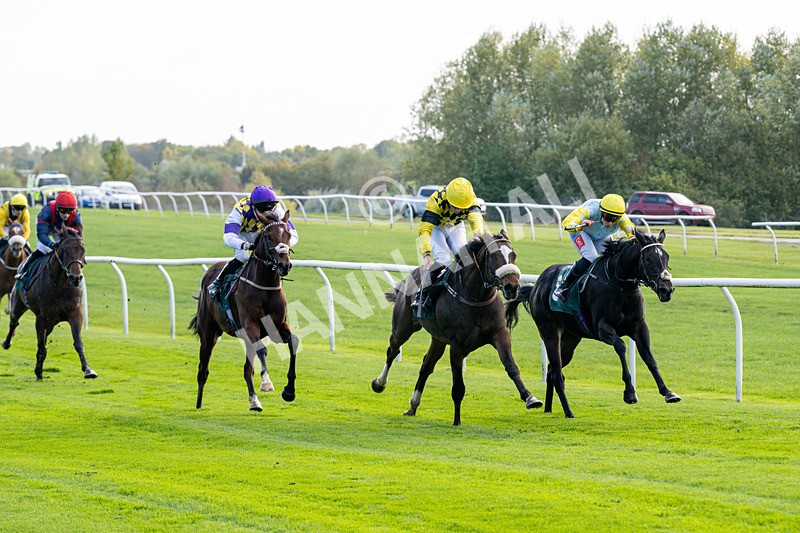 171026-Race 1-Lions Den-4794 - Race 1 1pm EBF 'Confined' Restricted Maiden Stakes