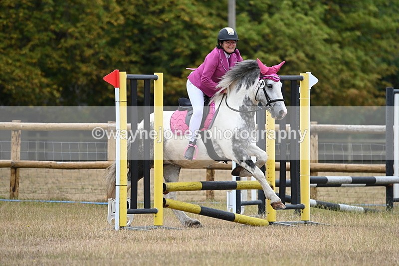 WJ6_0105 - Class 13 Novice Jumping 60cm