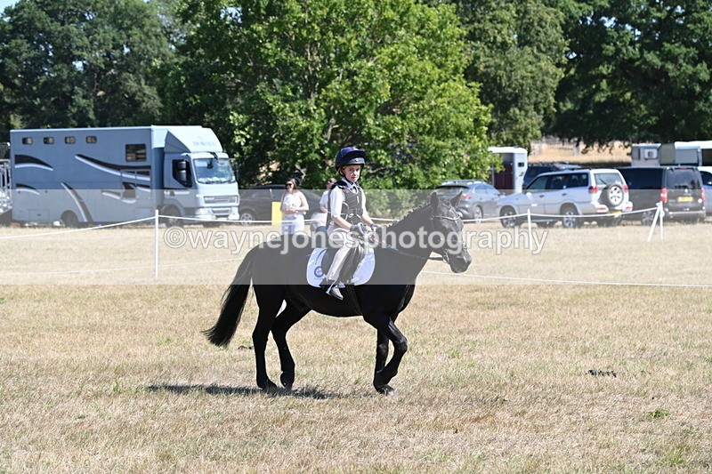 WJ6_8373 - Class 37a Best Loan Pony Ridden