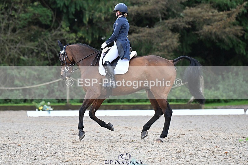 231019-110006-01709 - 035-ZADOK.D-Charlie.Piper-DR