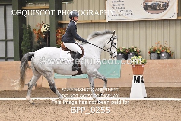 BPP_0255 - 1 - B MCFADYEN