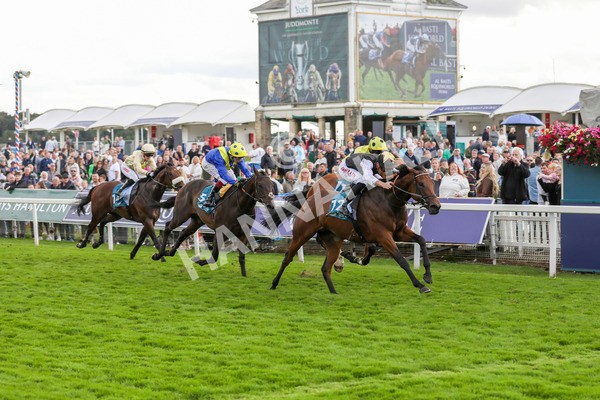 230824-Race 7-Treasure Time-8567 - Race 7 5.20pm Sky Bet Mile Handicap