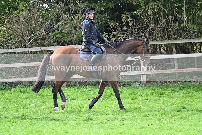 WJ7_9132 - Time 12:55 to 13:13