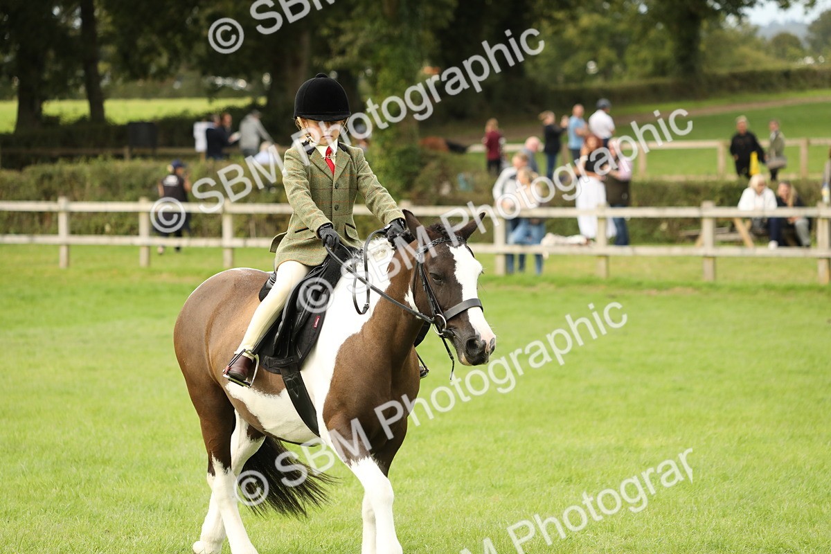 SBM_71577 - S41 - Ridden Equitation (Best Rider)