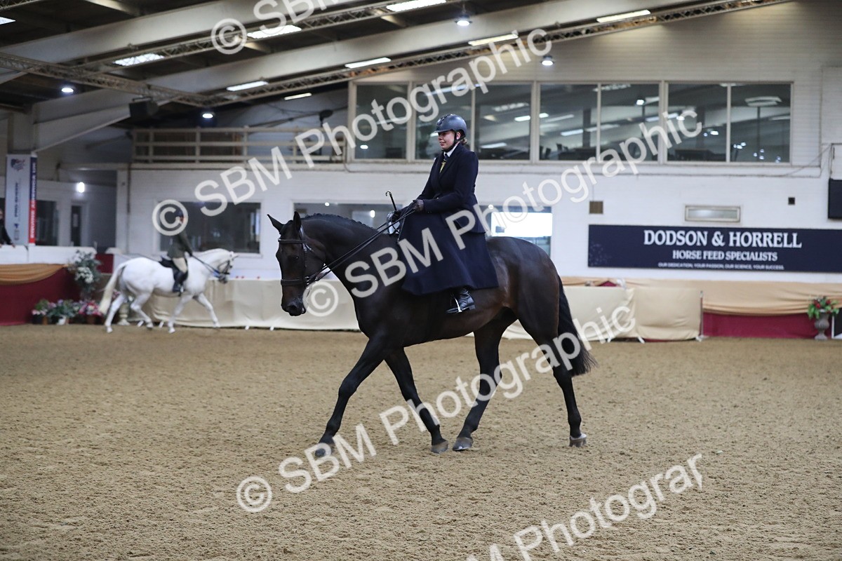 SBM_10400 - Class 102 Equitation (best rider) Adult