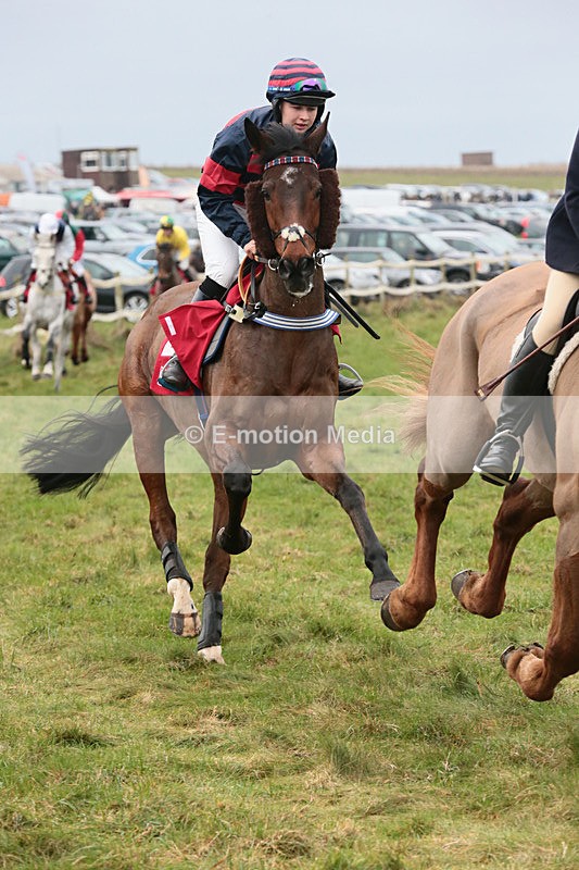PtP 060119 74 - Larkhill Racing Club - Point-to-Point- 06/01/2019