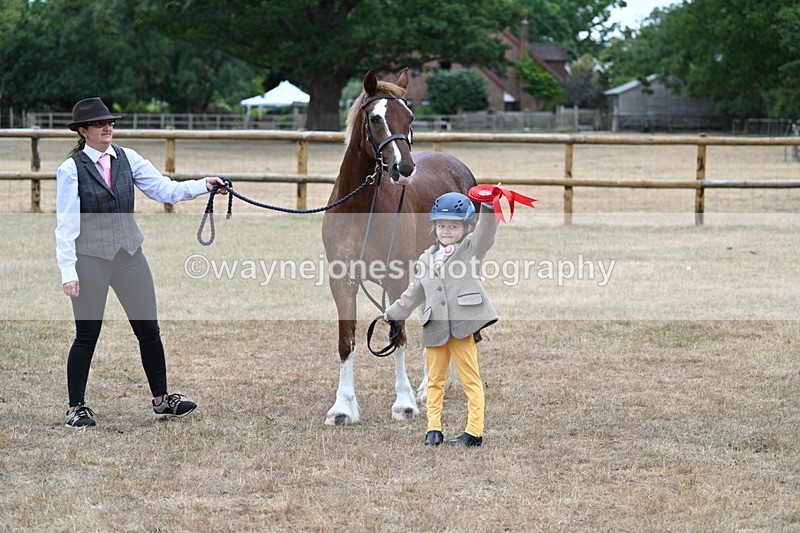WJ7_8570 - Class 4 Prettiest Mare up to 14.2hh
