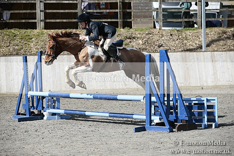 BVRC SJ 170319 302 - Bourne Valley Riding Club Showjumping 17/03/19