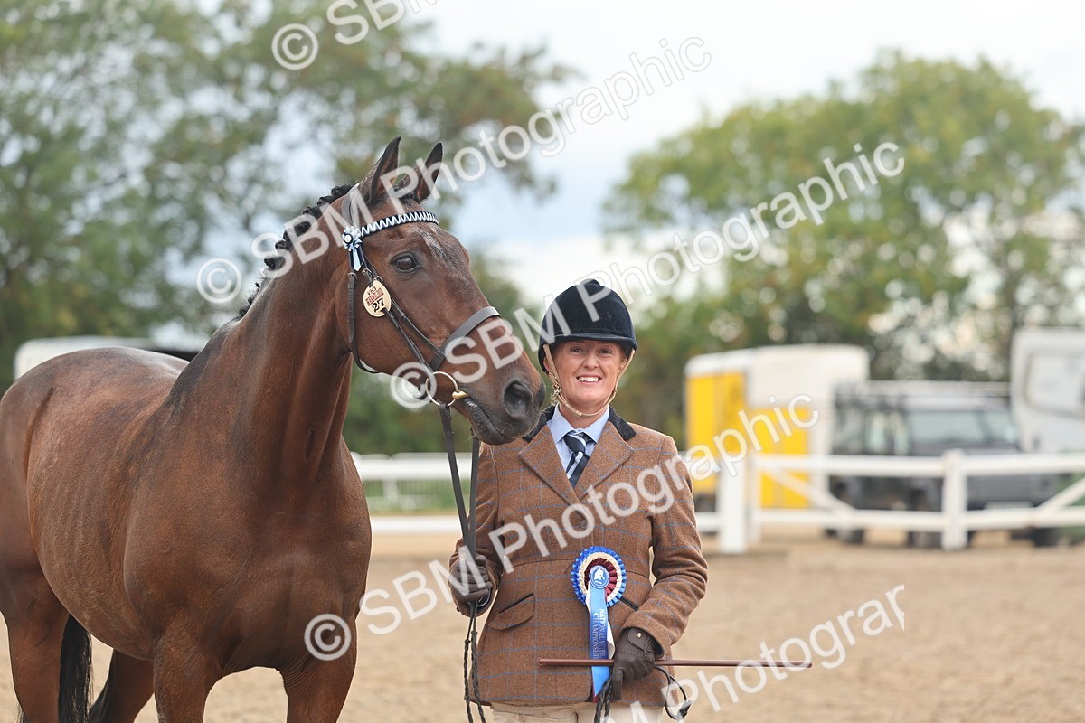 SBM_07834 - Class 27 - IH Competition Horse/Pony