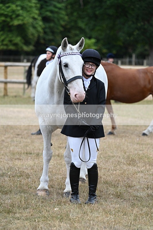 WJ7_9210 - Class 4a Prettiest Mare 14.2hh and over