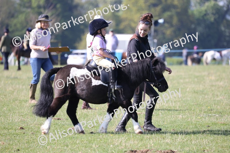 20250427-0166 - Class 30 - Tiny Tots Lead Rein