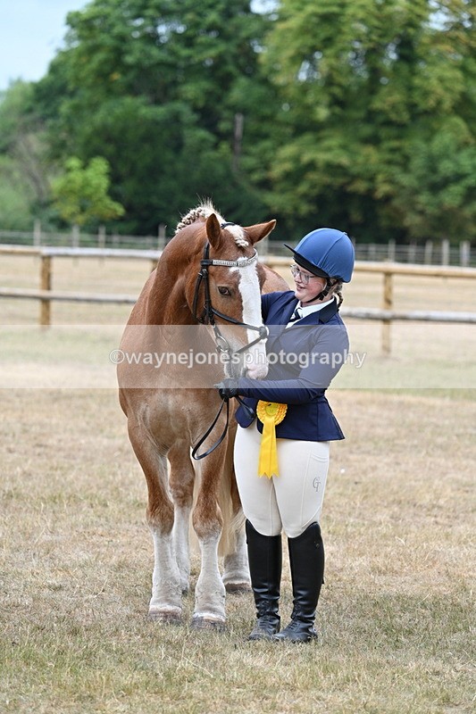 WJ7_0178 - Class 5a Most Handsome Gelding (above 14.2hh)