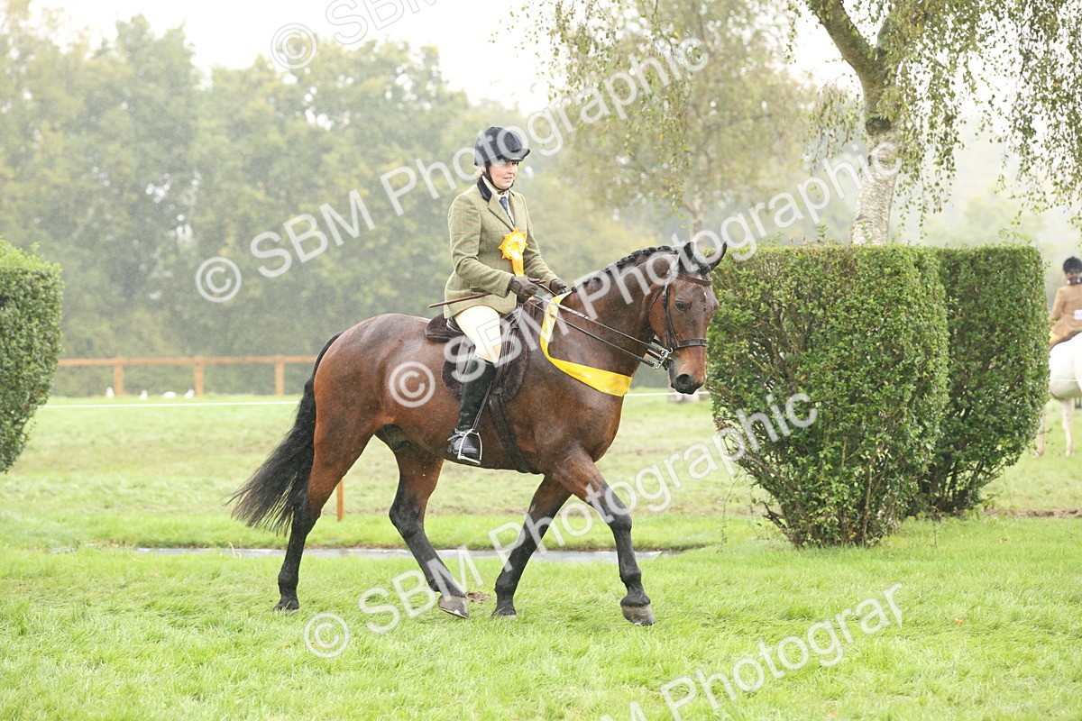 SBM_72904 - Ridden Horse Supreme Championship