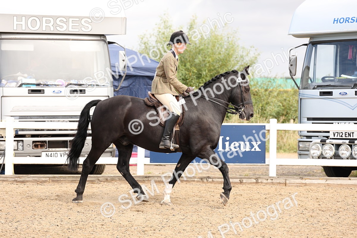 SBM_04316 - Class 54 - Riding Club Horse/Pony