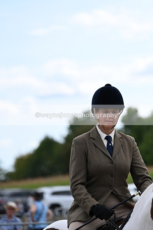 WJ7_5192 - Class 12 Ridden Cob