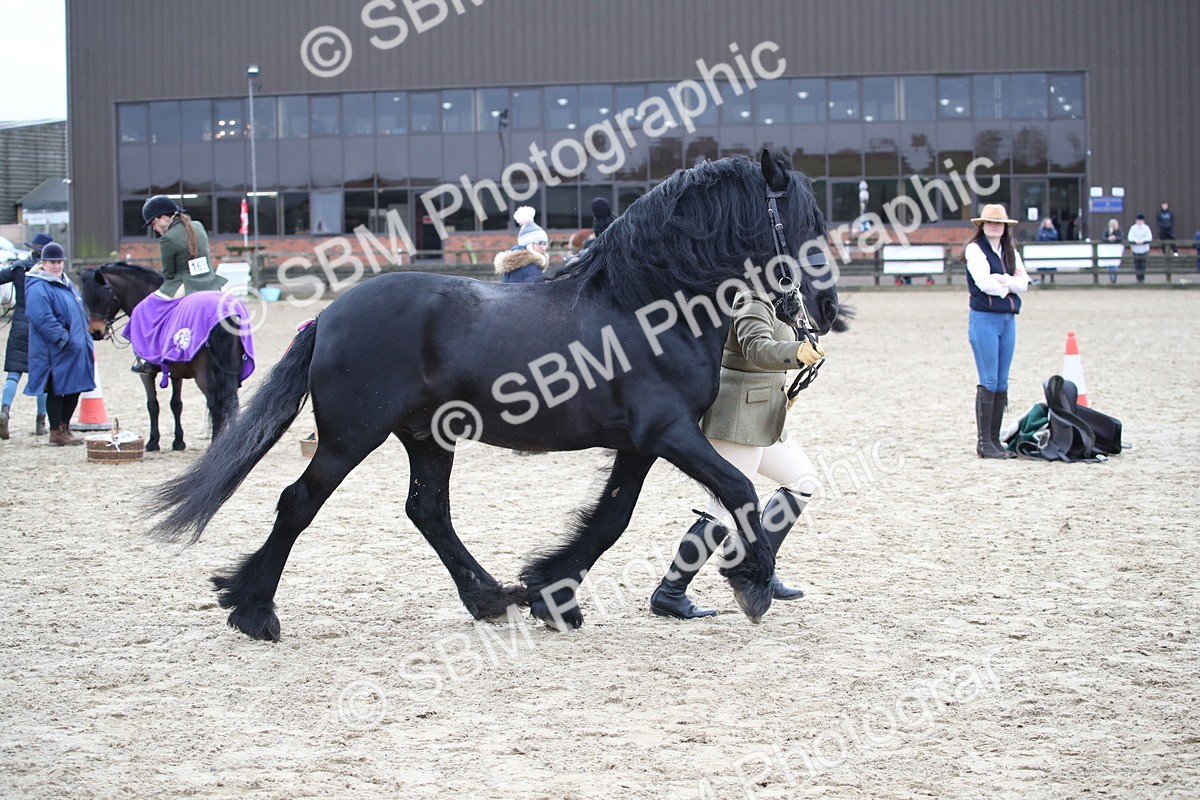 SBM_006411 - Class 10-13 - RIHS Small Large Breeds