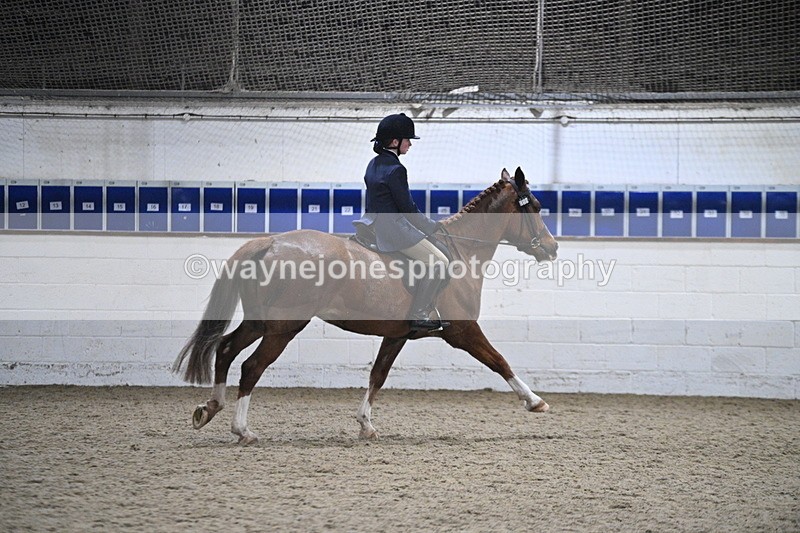 WJ7_4120 - Class 17 Ridden Cob