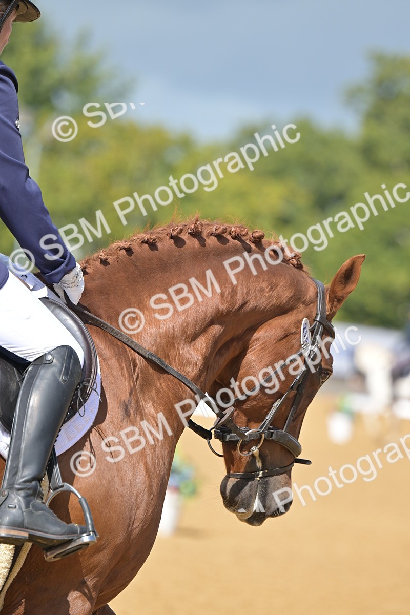 SBM_08203 - D8 - Small Tour Championship Prelim 1