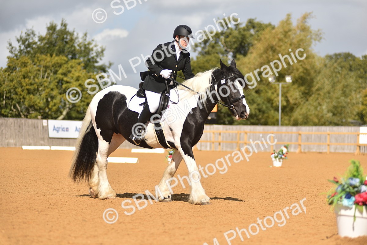 SBM_03159 - D4 - Small Tour Championship Intro 4